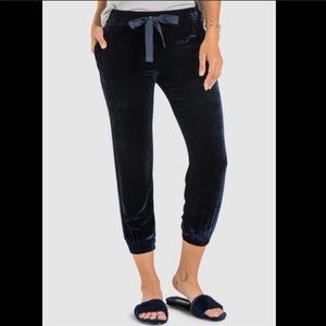 Blue/Navy Velvet Joggers from Bella Dahl
